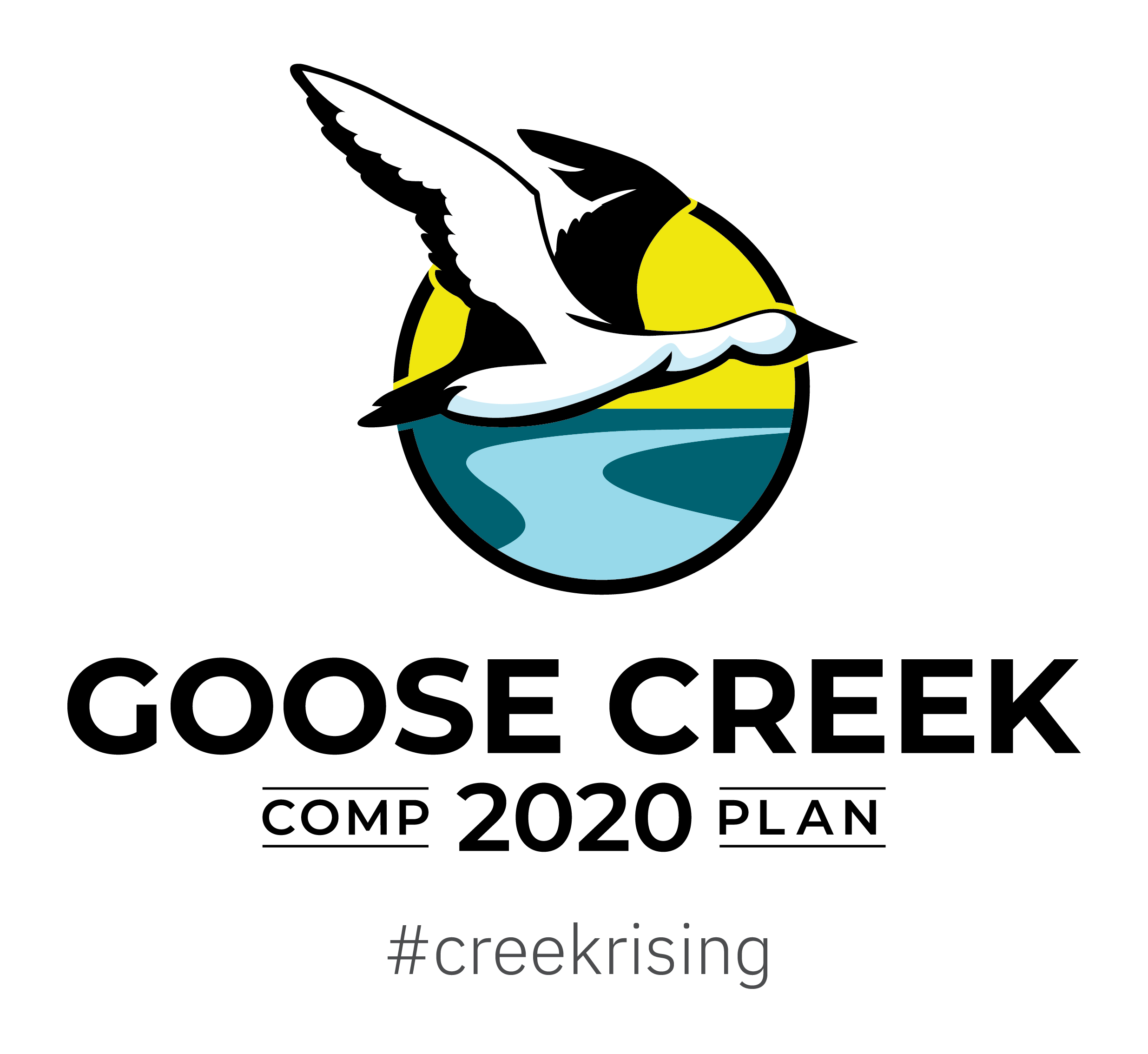 Goose Creek Comprehensive Plan 2020 BCDCOG